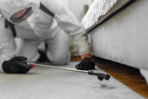 Professional Bed Bug Control technician working in South Beloit, IL